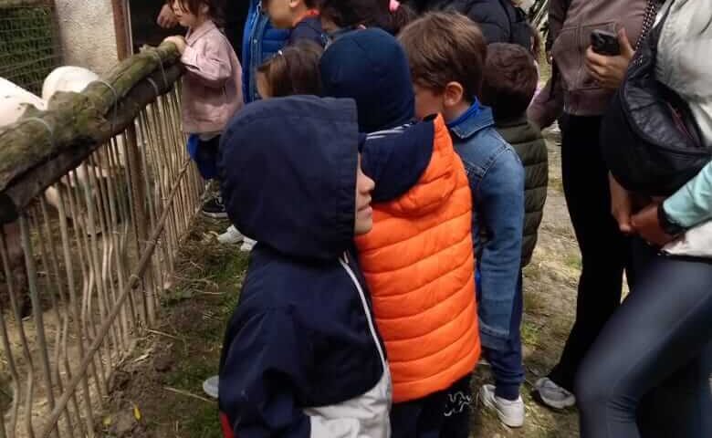 Materna15